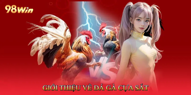 Đá Gà Cựa Sắt Tạo Cơ Hội Thắng Lớn Qua Trận Đấu Hấp Dẫn 2 Giới Thiệu Về Đá Gà Cựa Sắt