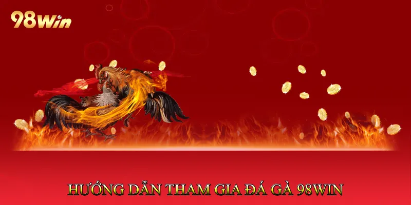 Hướng dẫn tham gia Đá gà 98Win